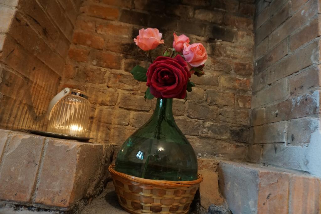 Calliano La Casa Bluヴィラ エクステリア 写真